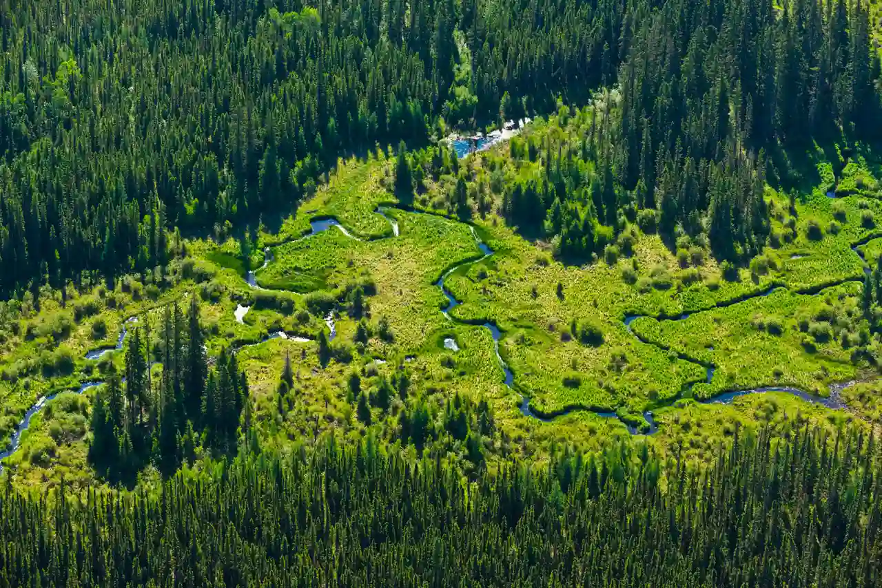 Aerial view of the Kitaskino Nuwenëné Wildland